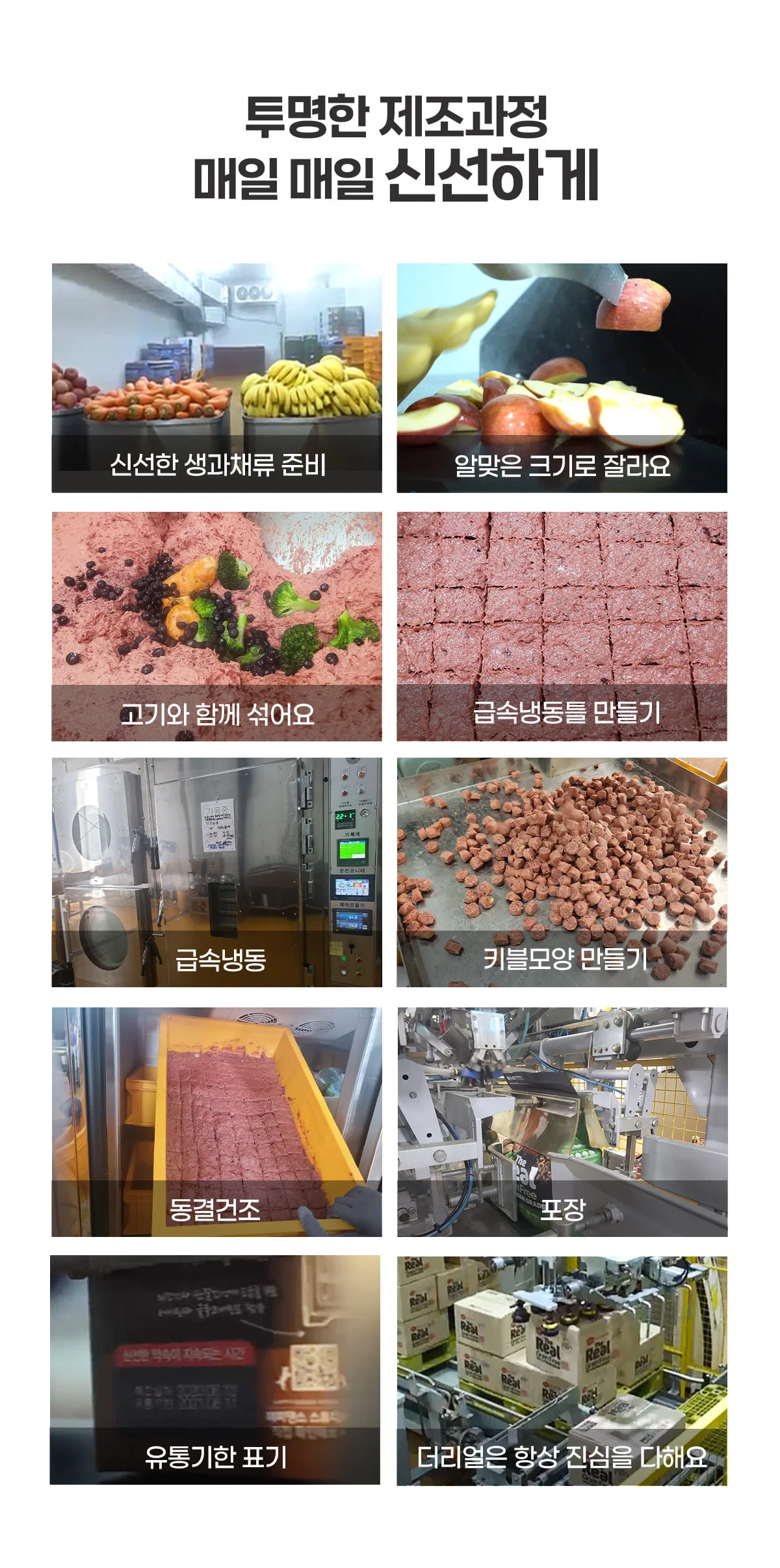 더리얼로우 오리 어덜트210g 상세 이미지 3